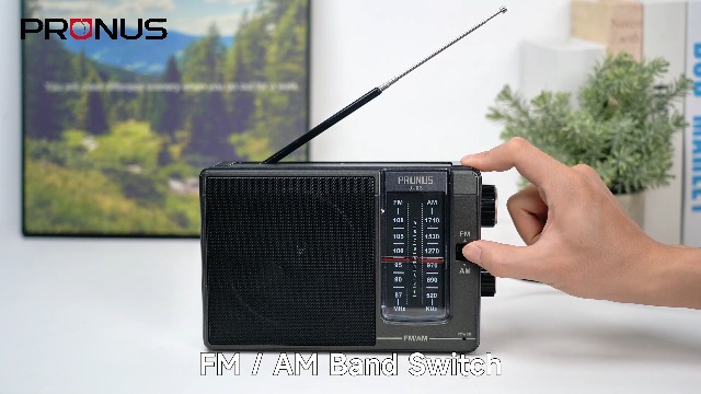 Amazon.com: PRUNUS J-03 AM FM Radio Portable Plug in Wall or AA